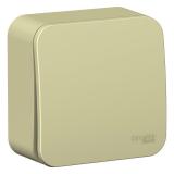  - Выключатель 1-кл. ОП Blanca 10А IP20 (сх. 1) 250В с изолир. пластиной беж. SE BLNVA101017