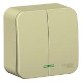  - Выключатель 2-кл. ОП Blanca 10А IP20 (сх. 5) 250В с подсветкой с изолир. пластиной беж. SE BLNVA105117
